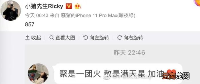 21岁韩安冉宣布与小猪先生复合 韩安冉小猪先生