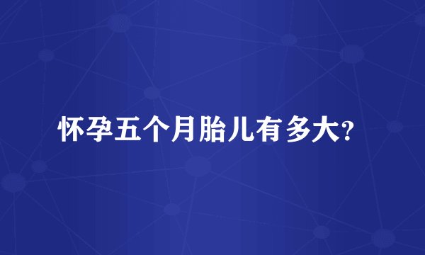 怀孕五个月胎儿有多大？