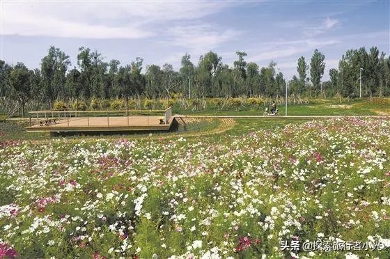 潇河湿地公园可以帐篷吗？