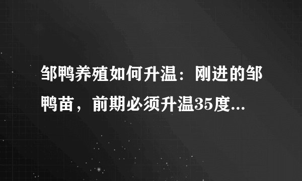 邹鸭养殖如何升温：刚进的邹鸭苗，前期必须升温35度左右，如何能保技持35度恒温？