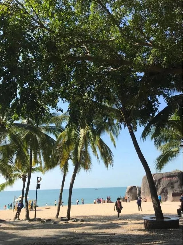 为什么三亚国际旅游岛新冠几乎没有？