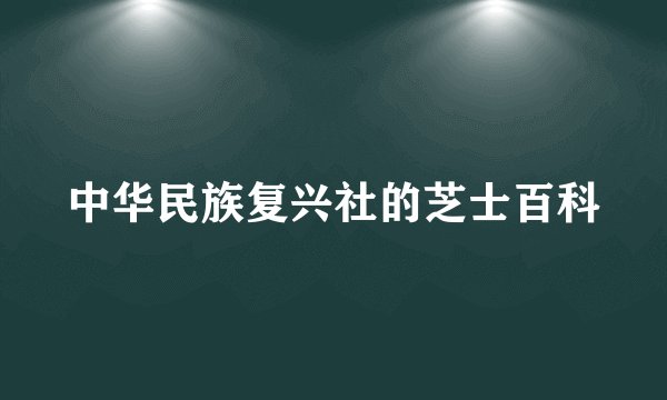 中华民族复兴社的芝士百科