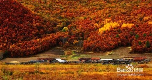 黑龙江省伊春市旅游景点大全