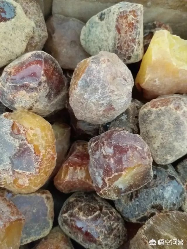 琥珀和蜜蜡真正的区别是什么?