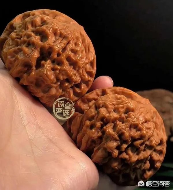 想盘玩核桃，是选小核桃好，还选麻核桃好？有什么区别？