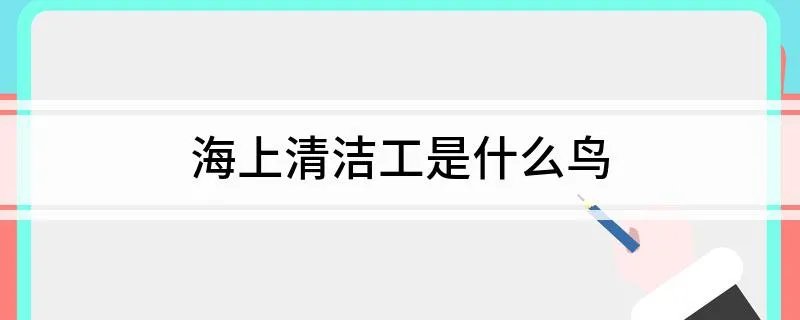 海上清洁工是什么鸟