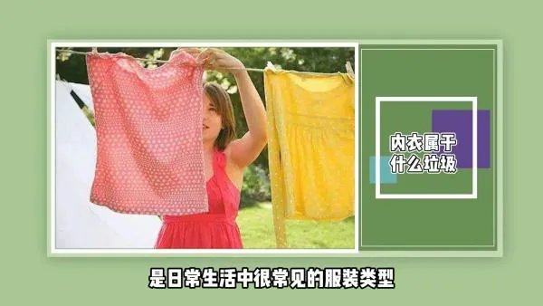 内衣属于什么垃圾?