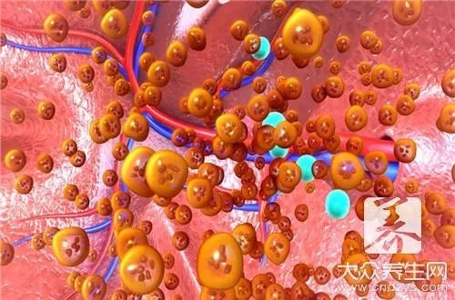 蜥蜴咬人吗有毒吗