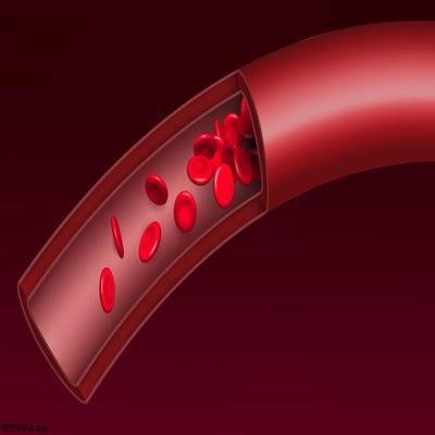 平均血小板体积偏高怎么回事