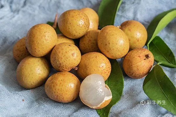 女人掉头发吃什么调理