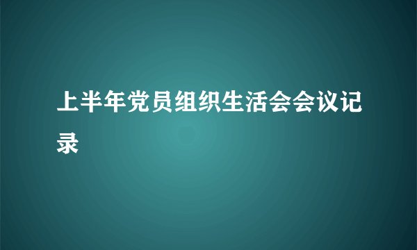 上半年党员组织生活会会议记录