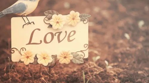 属猴男和属猪女的婚姻怎么样 猪和猴真的不能婚配吗