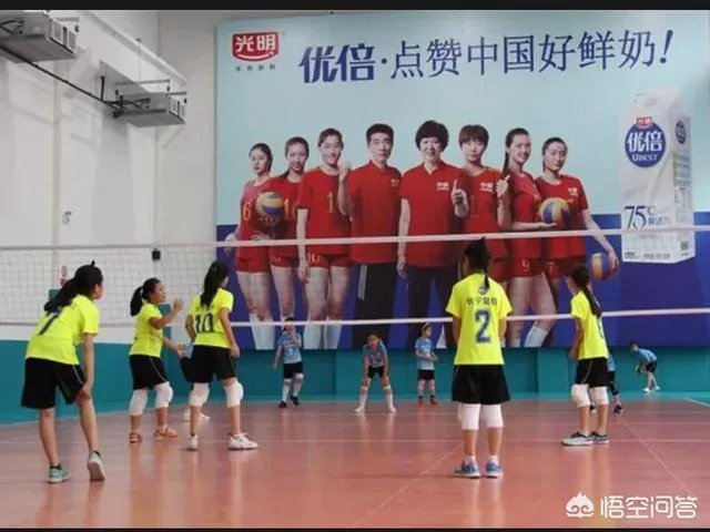 昔日上海女排“五连冠”成员，中国女排主力二传诸韵颖近况如何？