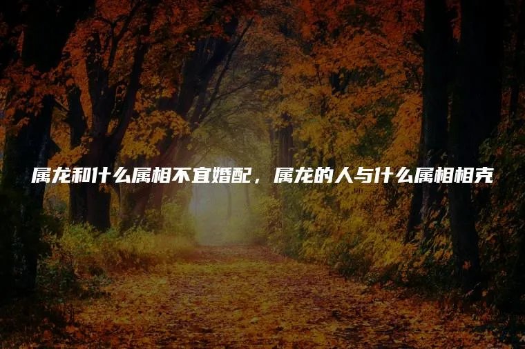属龙和什么属相不宜婚配，属龙的人与什么属相相克