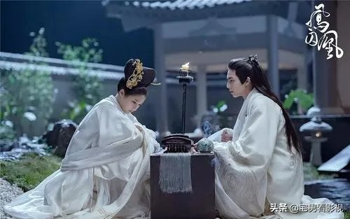 凤囚凰电视剧演的什么意思