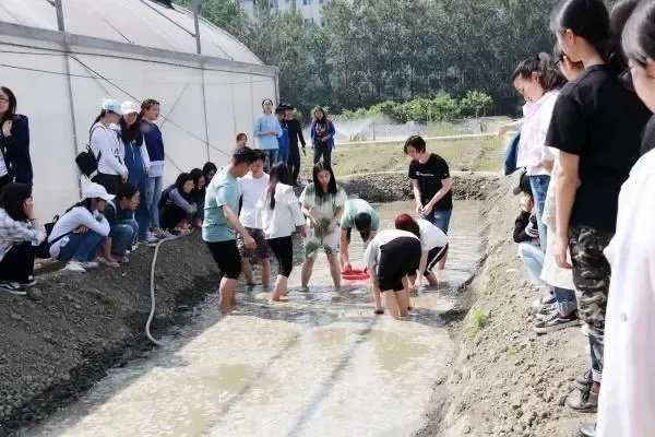 劳动课正式升级成为中小学的独立课程,怎么让创新成为劳动教育的生命力?