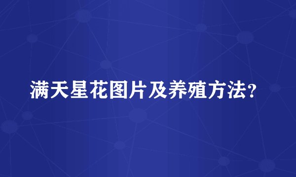 满天星花图片及养殖方法？