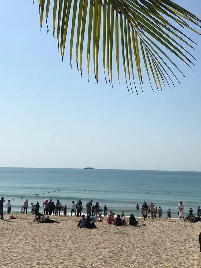 为什么三亚国际旅游岛新冠几乎没有？