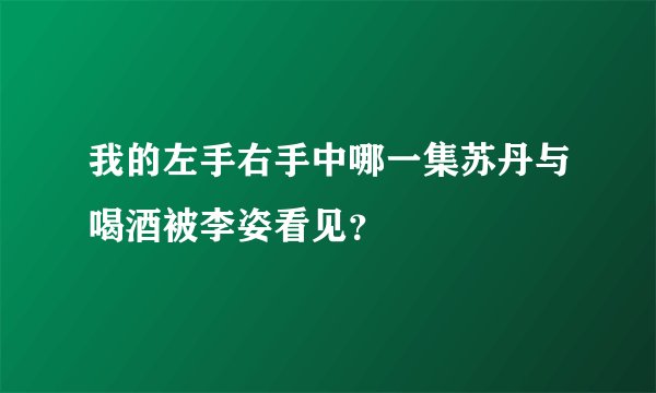 我的左手右手中哪一集苏丹与喝酒被李姿看见？