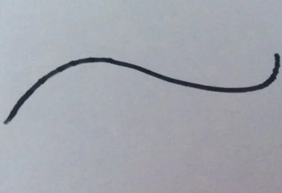 鲨鱼简笔画的步骤是什么？