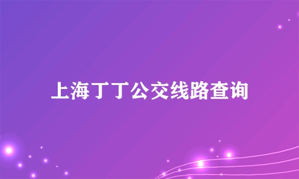上海丁丁公交线路查询