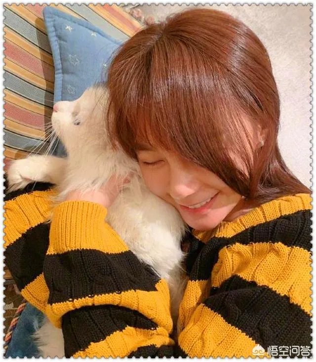 代言假货的明星有责任吗