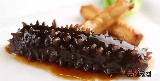 海参哪一种海参比较好