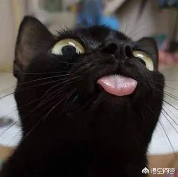 《知否》中张大娘子死了吗？张大娘子结局如何？