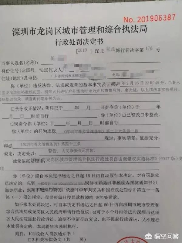 宠物狗不牵绳追撵9岁男童，深圳犬主被罚款500元, 你怎么看？