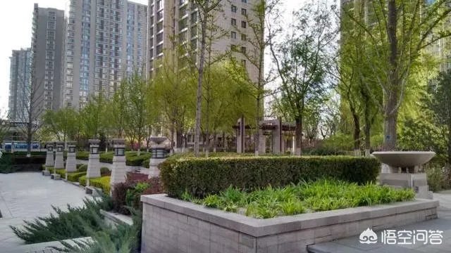 李小璐微博背景墙换成与贾乃亮的婚纱照，两人真的要复合吗？