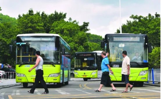 公交司机为什么给乘客下跪道歉？