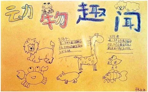 保护动物手抄报简单好看