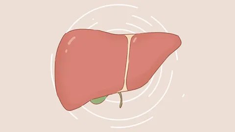 丙肝炎的早期症状明显吗