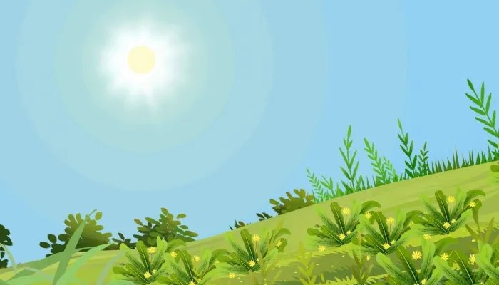 小暑的民间三宝是什么