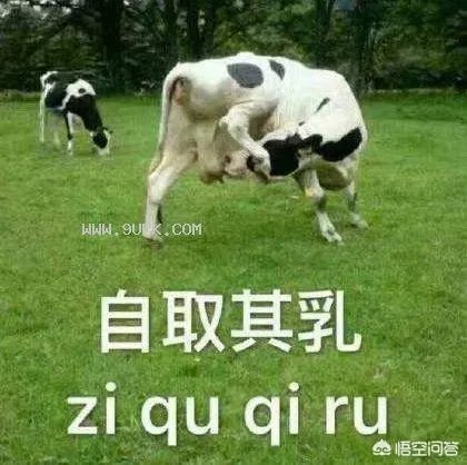 《环球时报》总编辑胡锡进称“不觉得杜嘉班纳这家公司有辱华的动机”，你如何评价？