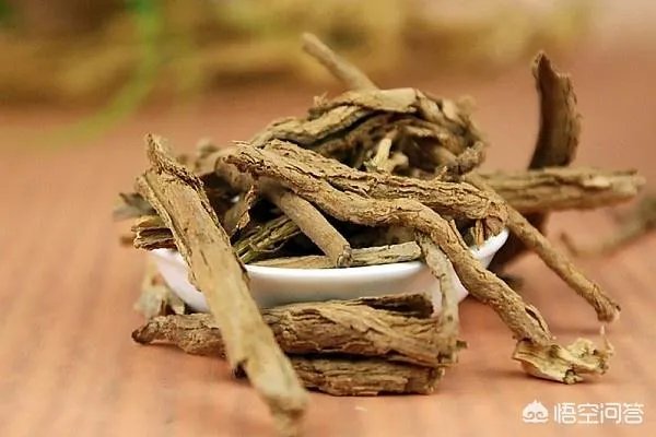 什么叫地骨皮？