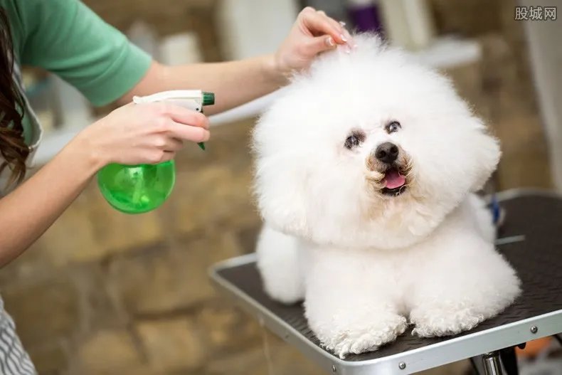 宠物用品店赚钱吗 开店能不能年入百万？