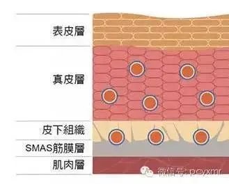 美容仪真的有返老还童的效果吗？