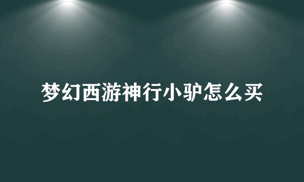 梦幻西游神行小驴怎么买