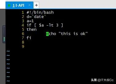 shell实例是什么？
