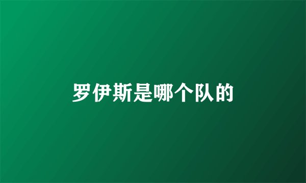 罗伊斯是哪个队的