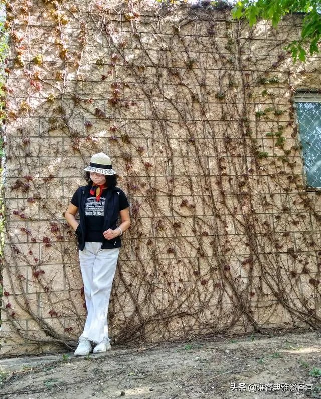 爬山虎巴在墙上如何摄影好看顺眼？