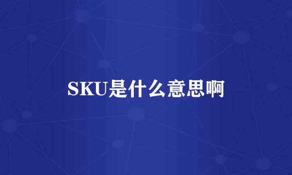 SKU是什么意思啊