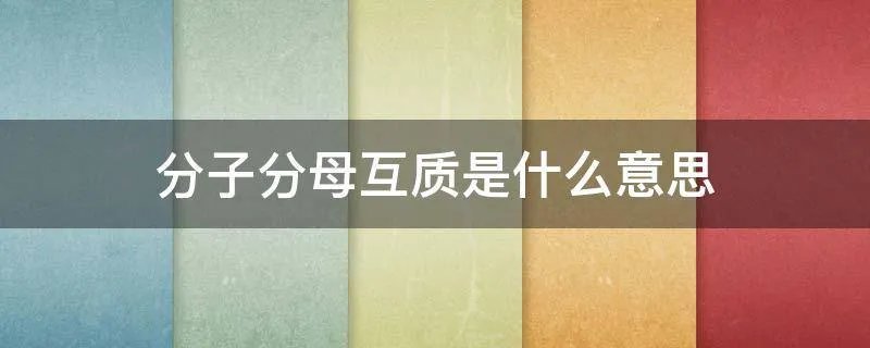 分子分母互质是什么意思