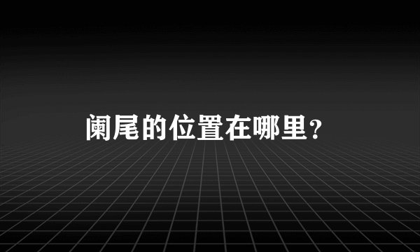 阑尾的位置在哪里？