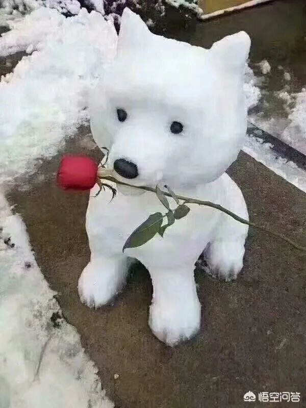 有哪些堆的雪人图片分享？