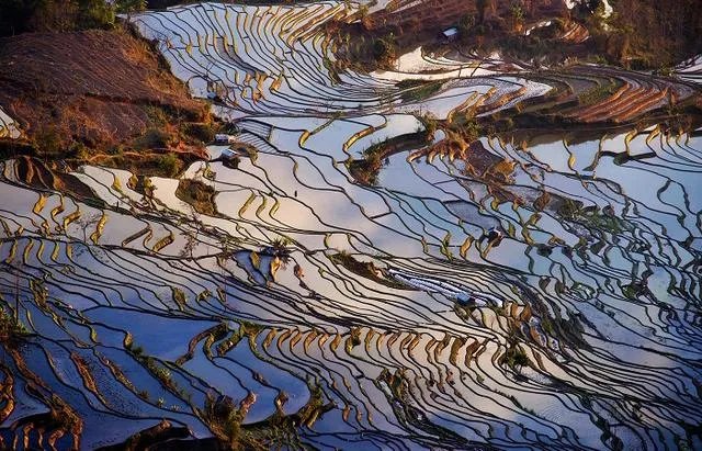 云南哈尼梯田的特点