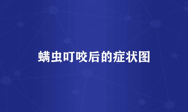 螨虫叮咬后的症状图