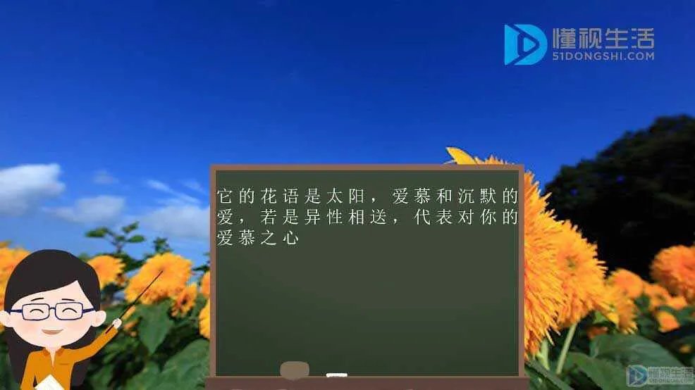 向日葵有什么寓意