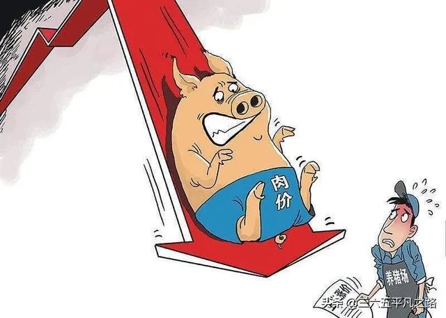 猪价连续下跌九天了，是什么原因造成猪价大跌，何时能上涨？
